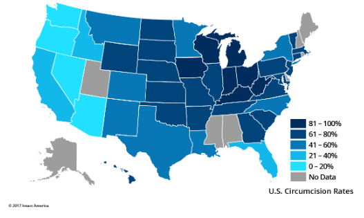 Circumcision rates by US state